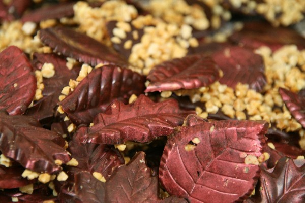 Nos chocolats saisonniers, les feuilles pour l'automne<br />

